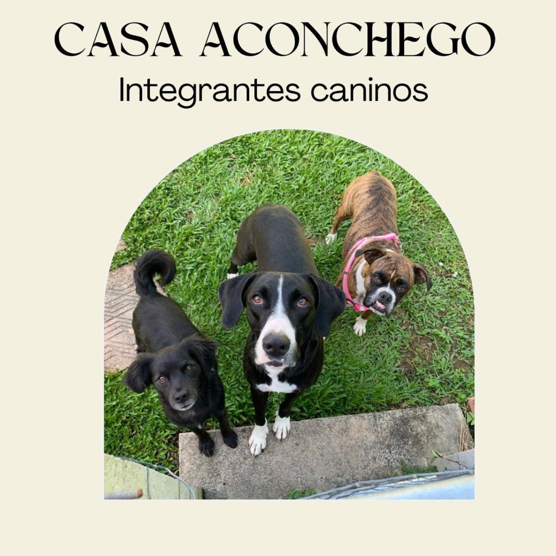Casa Aconchego 345 Ao Lado Alles Park Pomerode Eksteriør billede